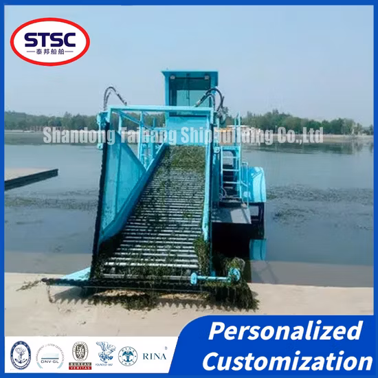 Bateau de tonte d'herbe d'écumoire de déchets aquatiques pour le nettoyage de la centrale hydroélectrique de rivière