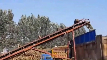 Siemens Motor 20mm-40mm Taille finie Biomasse Tree Log Wood Chipper Crusher